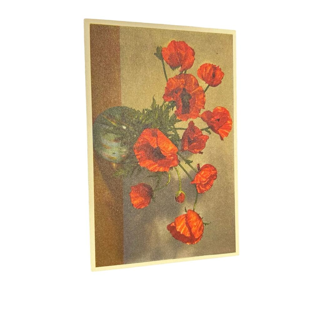 Lot of 13 Flowers Stehli Vintage Swiss Floral Postcards Unused Botanical - Picture 12 of 16